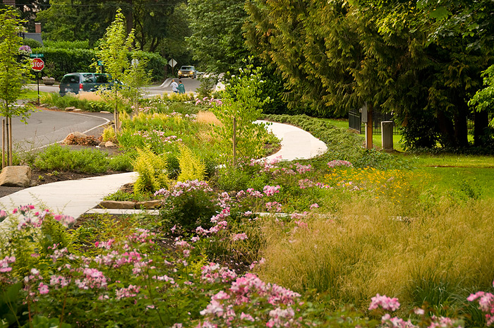 Photo of 10th Street Green Street project