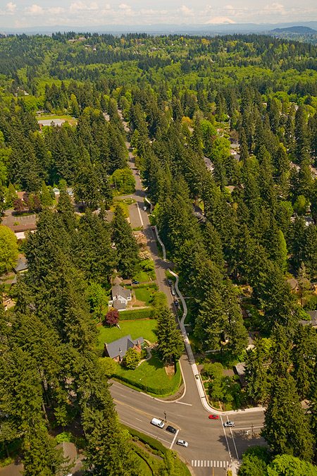 Photo of 10th Street Green Street project