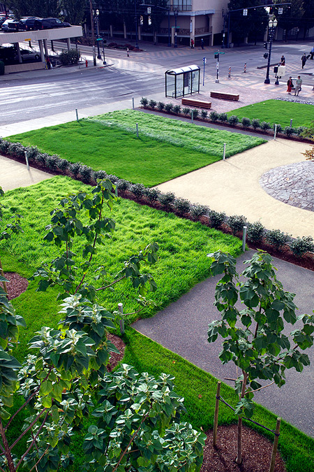 Photo of Block 47 Temporary Landscape project