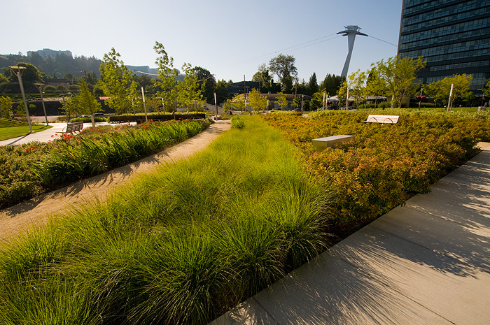 Photo of Elizabeth Caruthers Park project