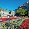 Photo of Festival of Flowers project
