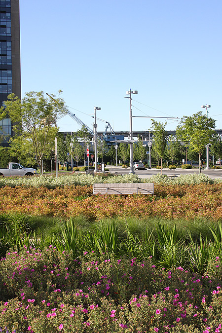 Photo of Elizabeth Caruthers Park project