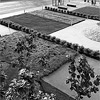 Photo of Block 47 Temporary Landscape project