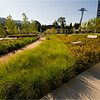 Photo of Elizabeth Caruthers Park project